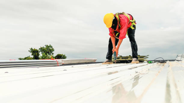 Best Roof Installation  in Picnic Point, WA